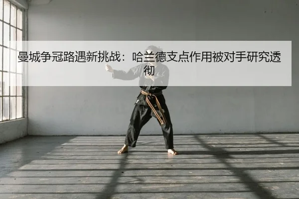 man-cheng-zheng-guan-lu-yu-xin-tiao-zhan-ha-lan-de-zhi-dian-zuo-yong-bei-dui-shou-yan-jiu-tou-che-2-644.jpg